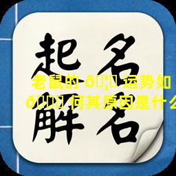 老鼠的 🦄 运势如 🐈 何其原因是什么